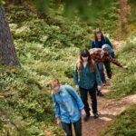 Dalsland guide, guidad naturvandring