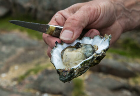 I ostronets tecken, guidad dag